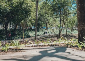 Con intervención de más de 42 kilómetros de cañadas en el Gran Santo Domingo CAASD impacta positivamente el medioambiente