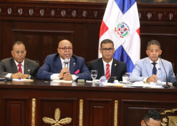 Diputados realizan vistas públicas para debatir proyecto de ley general de alquileres de bienes inmuebles y desahucios