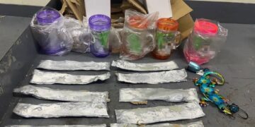 Ocupan 39 laminas de cocaina en INPOSDOM