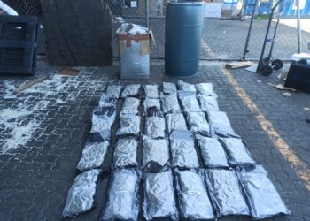 Ocupan 30 paquetes presumiblemente marihuana escondidos en caja y tanque de comida