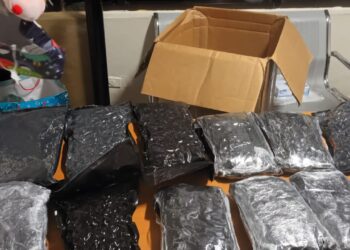 AILA decomisan once paquetes de marihuana escondidos en frisas de cama