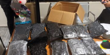 AILA decomisan once paquetes de marihuana escondidos en frisas de cama