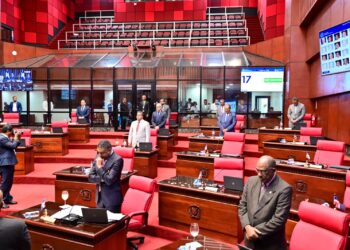 Senado modifica Ley 613-16 que aumenta a dos años licencia de porte y tenencia armas de fuego