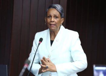 Diputada de Peravia, Ana Mercedes Rodríguez, demandó del Ministerio de Medio Ambiente hacer su trabajo para acabar con la depredación de ese recurso natural