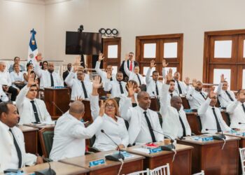 Eligen al regidor del PRM, Yovany Moya, como presidente y Junior Castillo vice del Concejo de Regidores del DN