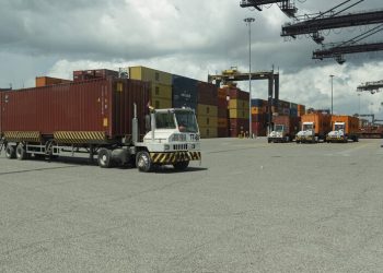Crece la participación femenina en el sector transporte y almacenamiento